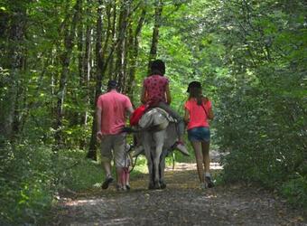 Agroturismo Ferme P�dagogique " L'bout D'chemin"
