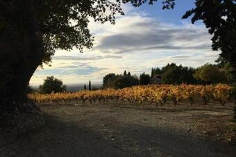 Villa Maison Proven�ale Au Coeur De Gigondas