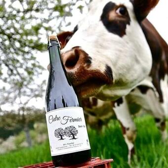 Apartamento Le Studio Du Pressoir