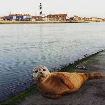 La Maison Du P�cheur