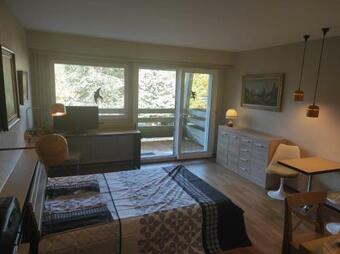 Apartamento R�sidence Le Faucon - Col Du Donon