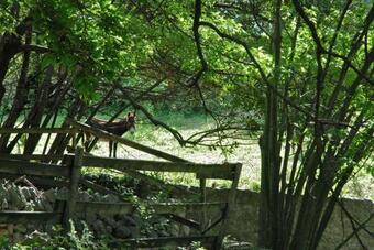 Bed & Breakfast Chambres D'h�tes Il Monticello