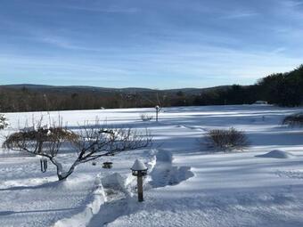 Tentrr Signature Site - Solitude