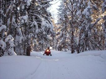 Hotel Evergreen Motel