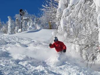 Hotel Expedition Station