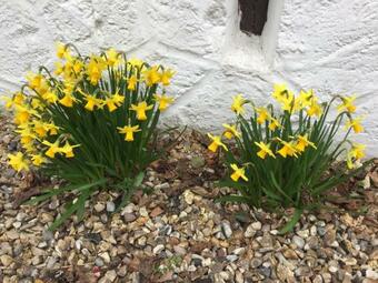 Bed & Breakfast Chambre D'hotes Murielle