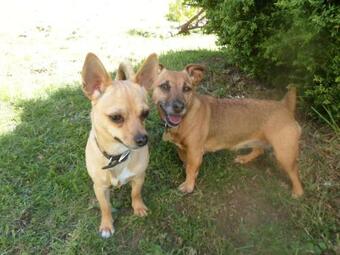 Riverside Bed And Breakfast