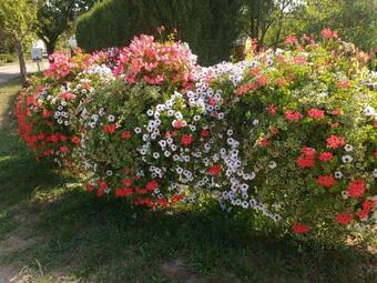 Bed & Breakfast G�te & Chambres D'h�tes Sabine Billmann