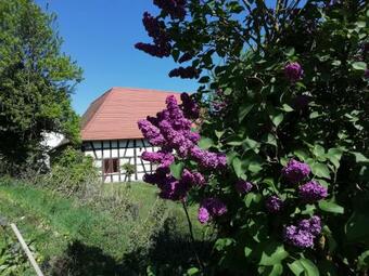 Apartamento G�te Rue De L'ange