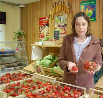 Villa Bonheur Illfurth Alsace 4 Chambres