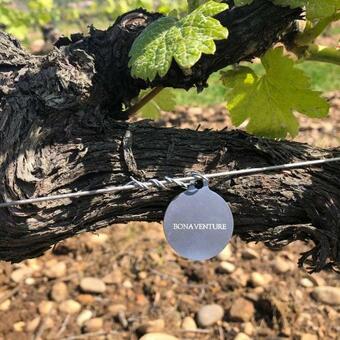 H�tel La Bonaventure Jezainville