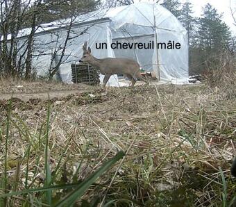 Domaine De Couchenoire