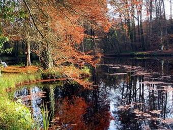 Agroturismo Gites Curcuma Et Compagnie