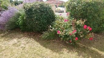 Maison Individuelle Au C?ur De La Champagne