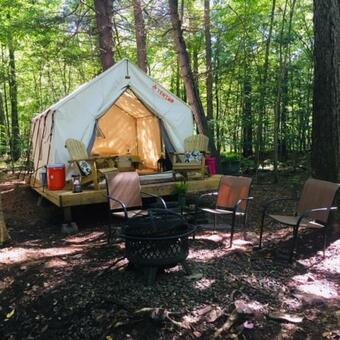 Tentrr Signature Site - Pine Spirit