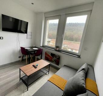 Apartamento Sympathique Studio Frontalier