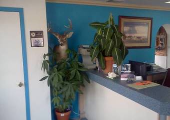 Posada Lone Star Inn Llano