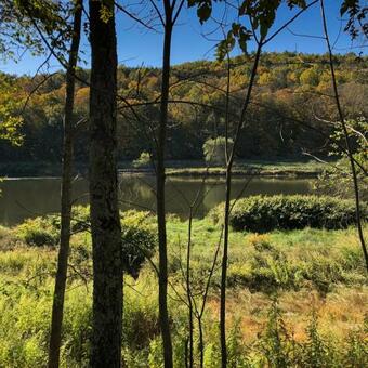 The Upper Delaware House