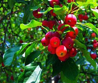 Apartamento Play All Day - Sleep By The Stream At Night - Swimming Hole