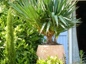 G�te La Gravelle, 2 Pi�ces, 2 Personnes - Fr-1-600-36