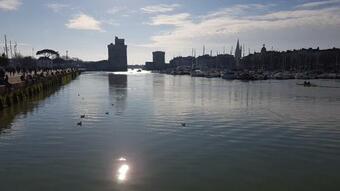 G�te Les Petits Poissons Verts Et Massages