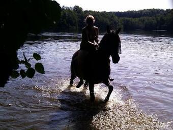 G�te Du Mont G�rard