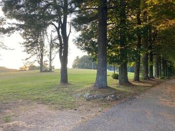 Apartamento Finn And Feather?s Mountain Escape