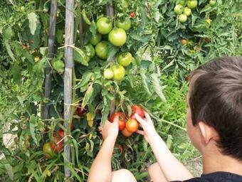 Apartamento Appartement De 2 Chambres Avec Jardin Clos Et Wifi A Le Bar Sur Loup