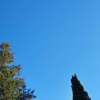 La Roulotte � Juju