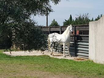 Manade De La Clapiere-mas Du Plan