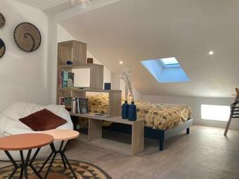 Apartamento Le Vernay, Studio De Charme, Enti�rement R�nov�.