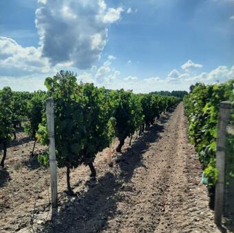 Inviting 2-bed Apartment In Le Grand-pressigny