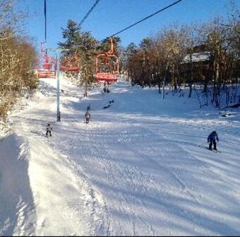 Cozy Cottage At Saw Creek