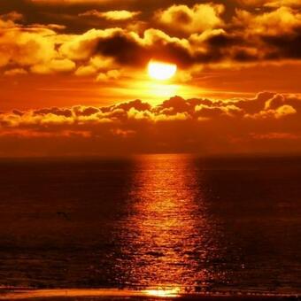 Apartamentos Nausica� Fen�tre Sur Mer