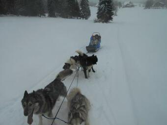 Bed & Breakfast Au Charnet