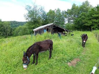 Apartamento Auboutdumonde