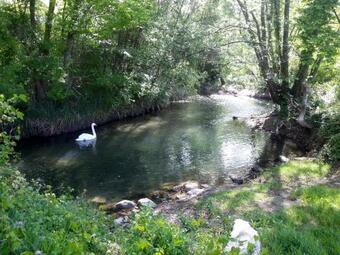 Hostal C�t� Provence