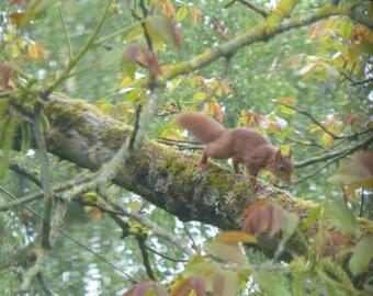 Orfea S Home - Maison De Charme, Lyons-la-for�t, Acc�s Direct For�t