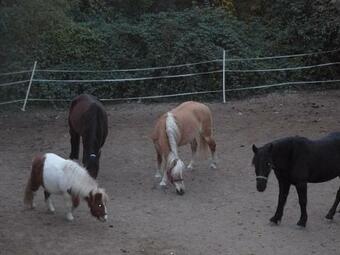 Agroturismo La Ferme Des Cailletiers