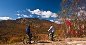 Hotel Best Western Silver Fox Inn