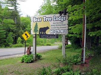 Motel Bear Tree Lodge