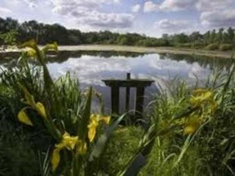 Villa Maison Mign�, 3 Pi�ces, 6 Personnes - Fr-1-591-317