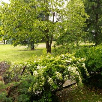 Apartamento Le Petit Barclay - T2 De 45 M2 - 2 A 4 Personnes - Metz Centre