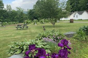 Autumn Mountain Cabin #11