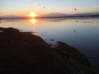 Hostal Ch�vrefeuille Chambre D'h�tes