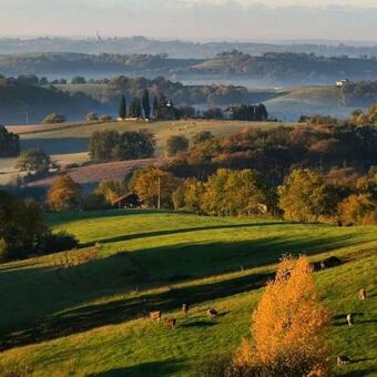 Bed & Breakfast Chambre D'h�tes Insolite Dans Un Pigeonnier � 5 Minutes De Marciac Gers