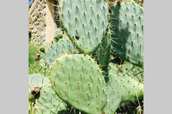 Maison � Vergol En Pleine Garrigue