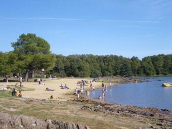 G�te Monterfil, 2 Pi�ces, 3 Personnes - Fr-1-538-149