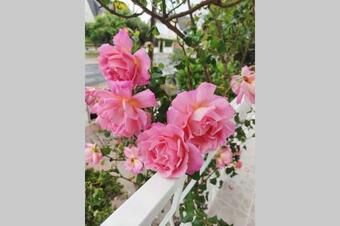 Apartamento Bel Appart Entre Paris Et Dysney �quip� (ref:kl0)