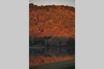 Lake Front Home 15 Min From Blueridge Mountains.